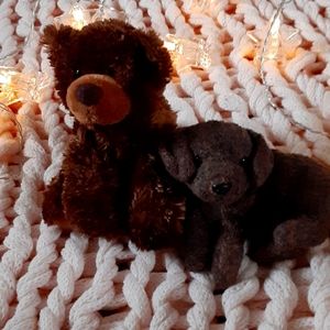 Very cute teddy bear and puppy.